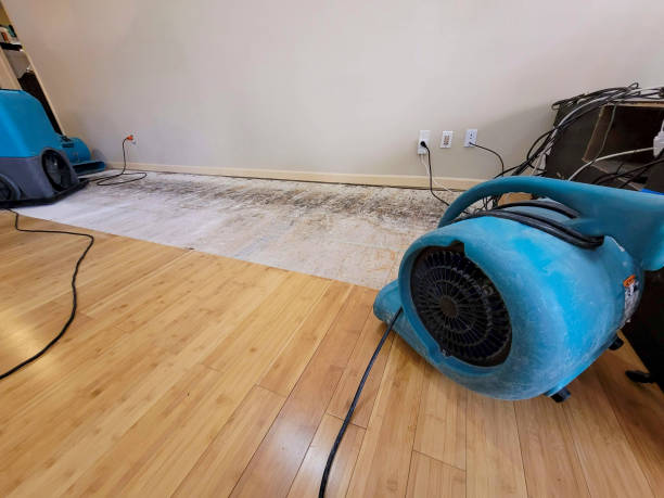 Professional Structural Drying technician working in Hewett, WV